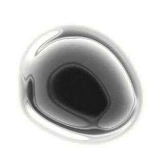 Как отметить 38 лет свадьбы, сценарий свадьбы 38 лет совместной жизни