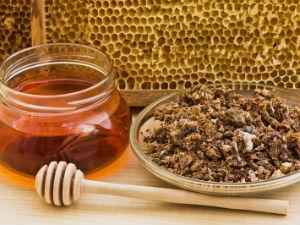 Как полоскать горло настойкой прополиса: лечение полосканием, капли для носа