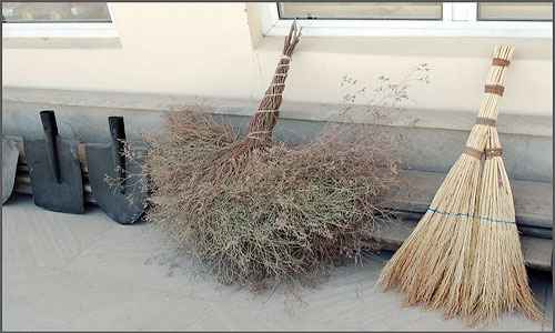 Сонник Веник, к чему снится Веник во сне видеть