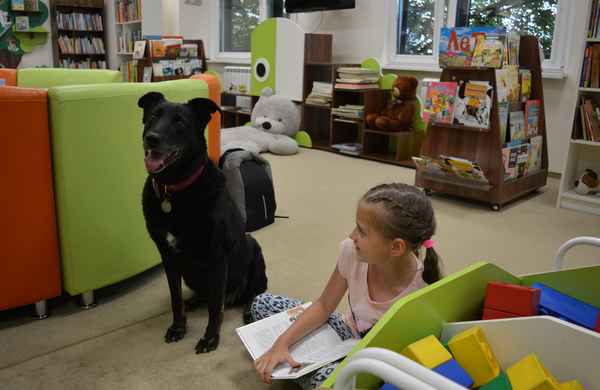 Что почитаем сегодня, Найти