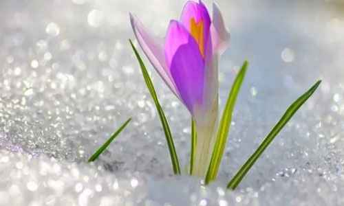 Сонник Весна, к чему снится Весна во сне видеть