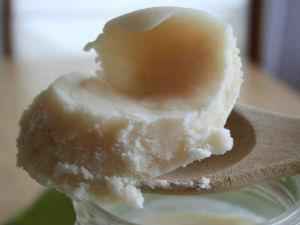 Медвежий жир: применение при кашле и простуде