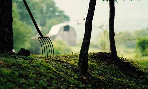 Сонник Вилы, к чему снятся Вилы во сне видеть