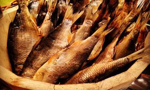 Сонник Вобла, к чему снится Вобла во сне видеть