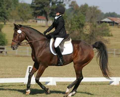 Дикий запад! – стиль вестерн в одежде
