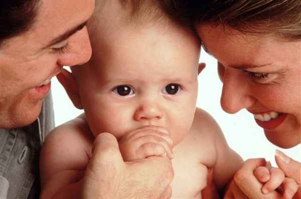 Дома лучше, или День аиста