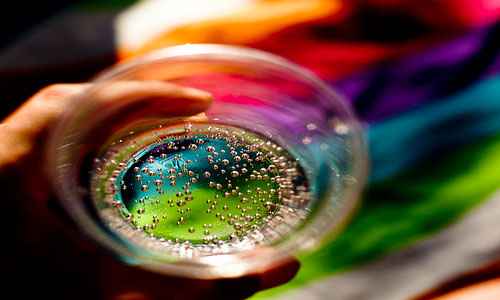 Сонник Газированная вода, к чему снится Газированная вода во сне видеть