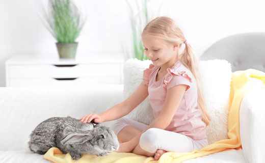 Имена девочек родившихся в год Кролика