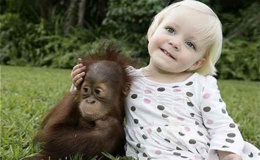 Имена девочек родившихся в год Обезьяны