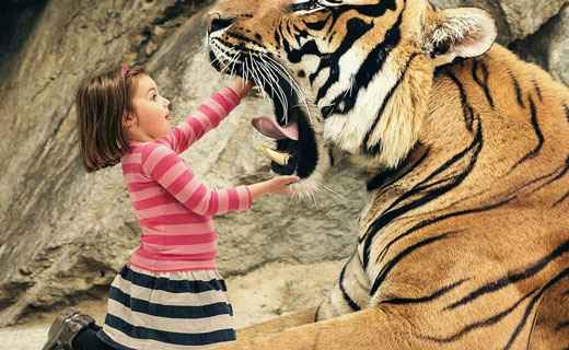 Имена девочек родившихся в год Тигра