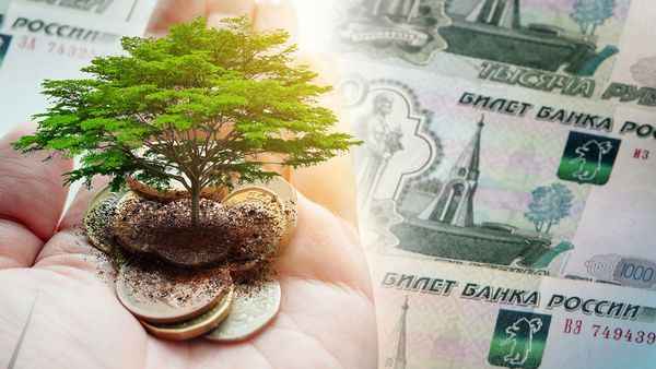 Экологический налог – чего ждать россиянам