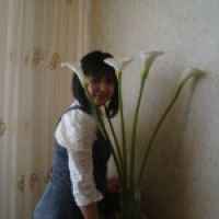 Стажировка в Израиле для русских в 2019 году