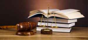 Налог на домашних животных в России 2019: будет или нет, как будут взыскивать