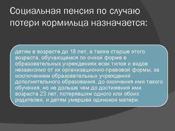 Социальная пенсия по потере кормильца  сумма, размер