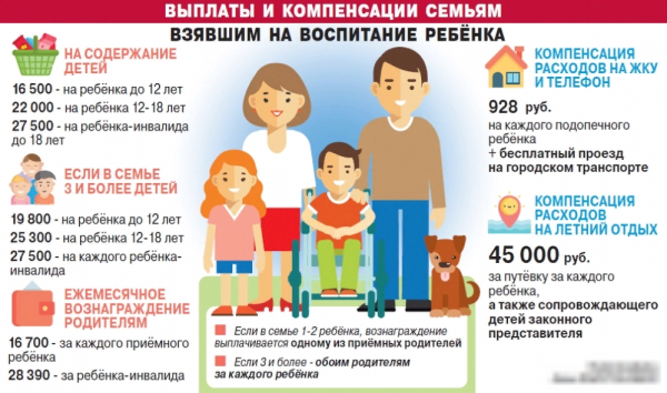 Сколько платят за опекунство над ребенком  сумма, новости