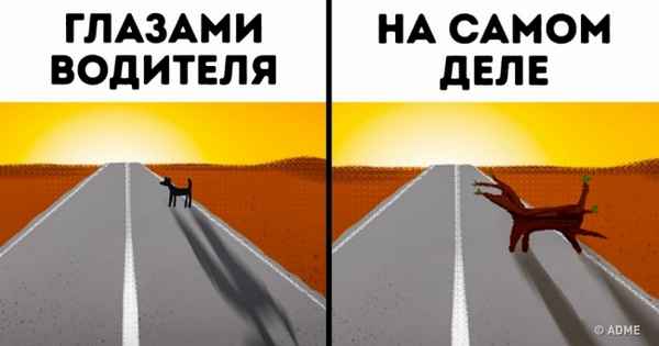 5 признаков усталости водителя, игнорирование которых может стоить жизни