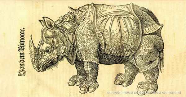 6 необычных книг, в которых хранятся древние знания