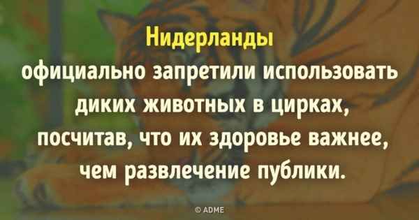 7 доказательств, что Голландия