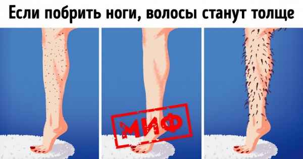 7 ложных убеждений, которые все принимают за неоспоримую истину