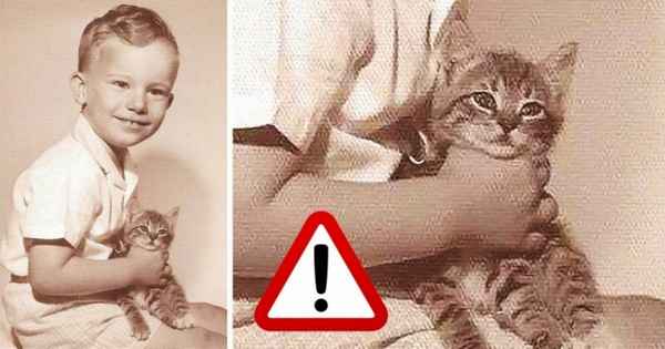 7 признаков, которые позволяют распознать в ребенке будущего психопата