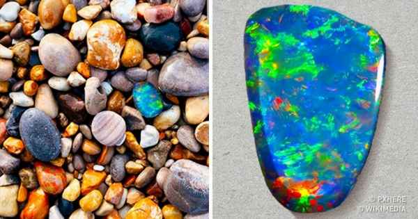 7 случайных находок, которые сделали обычных людей миллионерами