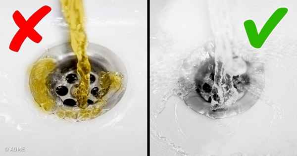 7 способов избавиться от засоров в ванной и на кухне без помощи сантехника