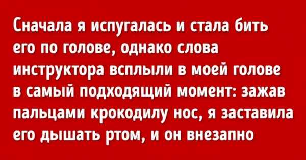 7 человек, которые не растерялись в экстремальных ситуациях