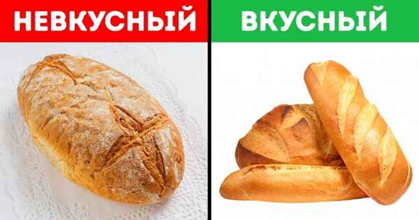 8 научных причин, почему мы любим вредную еду и не любим полезную