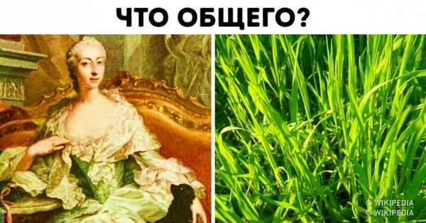 8 нелепых поступков, которые мы совершаем постоянно