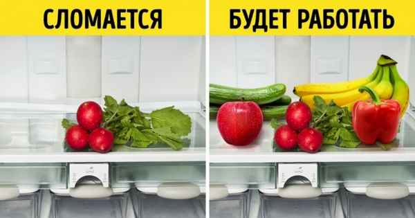 8 предметов бытовой техники, ломающихся просто потому, что мы не прочли инструкцию