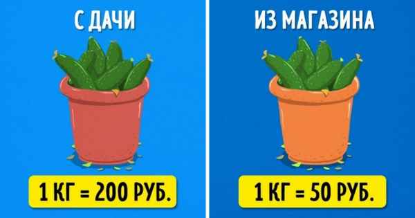 8 привычек, которые не дают вылезти из бедности