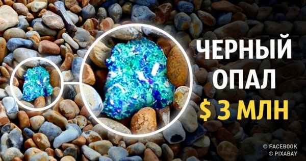 8 примеров, когда бесполезный мусор обернулся миллионным состоянием