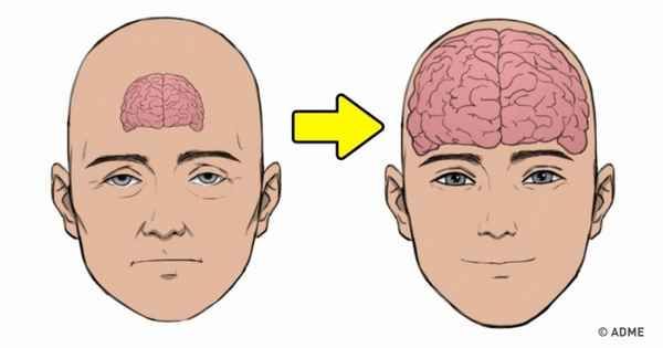 8 советов нейробиолога о том, как стать счастливым раз и навсегда