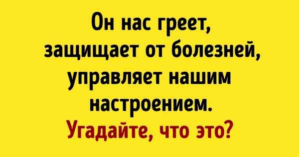 8 фактов, которые изменят ваше мнение о том, где у человека самый важный орган