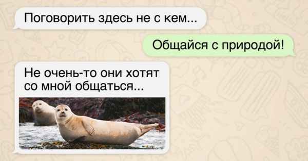 8 шикарных причин побывать на Камчатке