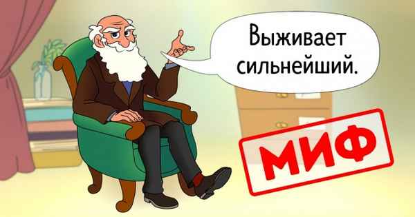 9 великих научных мифов, после которых вы усомнитесь в том, что уже знали