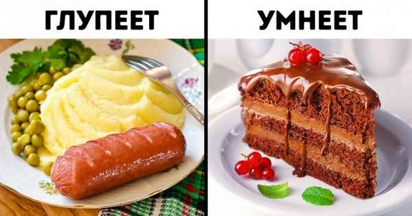 9 занятий, которые не только принесут массу удовольствия, но и прокачают мозг