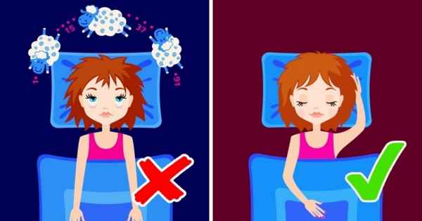 9 комнатных растений, которые выделяют кислород даже ночью