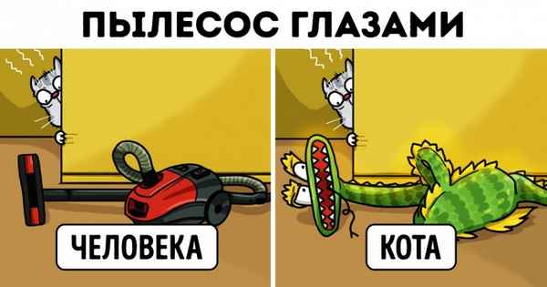 9 кошачьих привычек, которые могут доставлять нам неудобства, и 9 способов решения проблемы