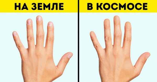9 невероятных вещей, которые происходят с нами и нашим телом в космосе