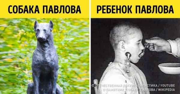 9 неоднозначных экспериментов с участием детей, которые вызывают бурю праведного возмущения