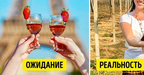 9 неочевидных стран, которые не уступают Франции и Испании по качеству вина