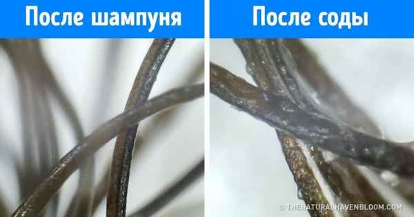 9 популярных народных рецептов для волос, используя которые, вы рискуете испортить свою шевелюру