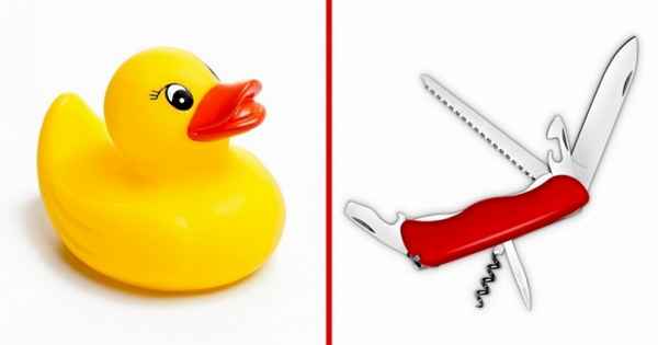 9 предметов, которые всегда нужно носить с собой