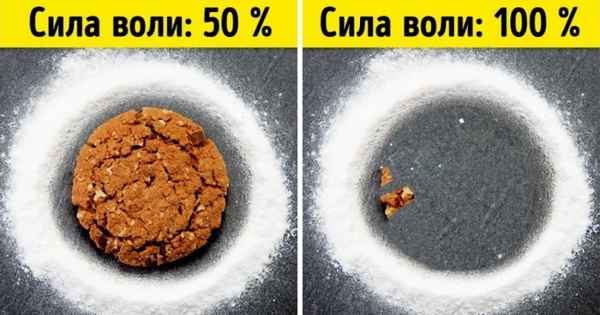 9 простых экспериментов, которые докажут, что мы ничего не контролируем в этой жизни