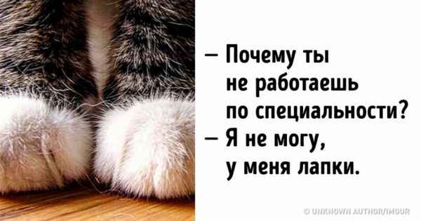 9 способов уйти от ответа на неудобный вопрос и не показаться грубияном