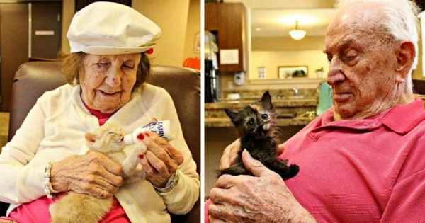 10 историй о том, что добра в мире куда больше, чем мы думаем