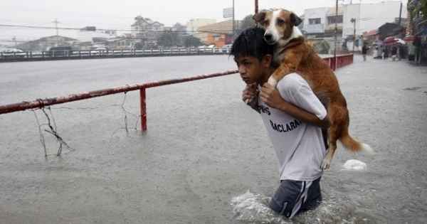 10 историй о том, что доброты в мире больше, чем кажется