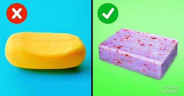 10 популярных фактов, в которые мы верили