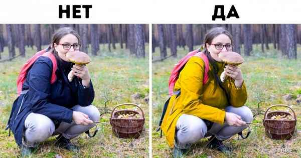 10 правил выживания летом в лесу